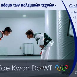 taekwondo_wt